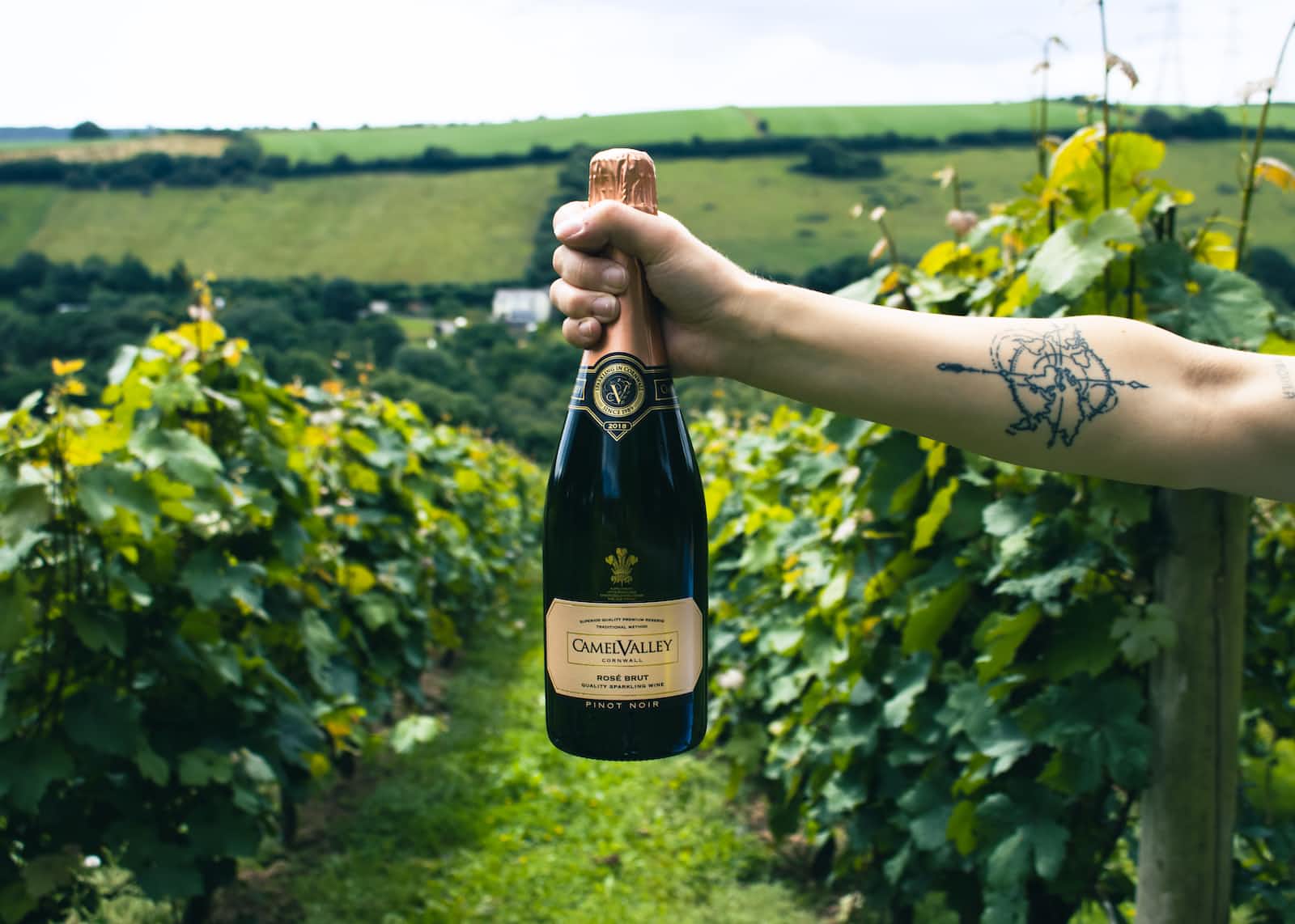 A person holding a champagne bottle with a vineyard in the background